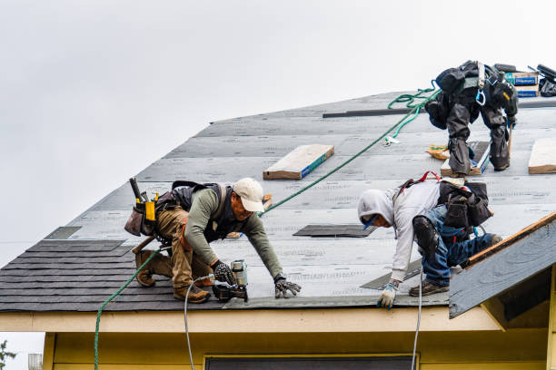 Professional Gutter Installation technician working in Scales Mound, IL